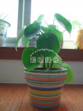 荷叶碧玉