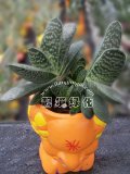子宝