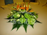 绿掌+鹤望兰