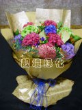 绿掌+绣球